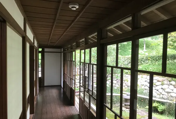 天王森泉公園の写真・動画_image_384743