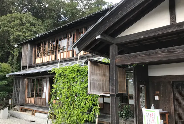 天王森泉公園の写真・動画_image_384798