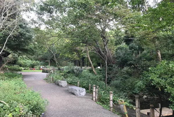 天王森泉公園の写真・動画_image_384800