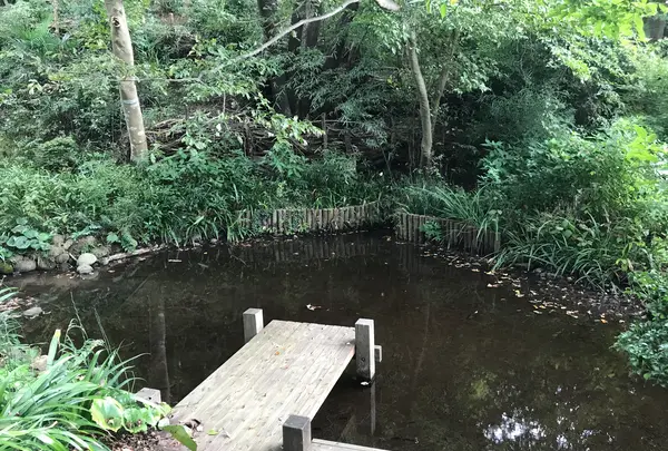 天王森泉公園の写真・動画_image_384801