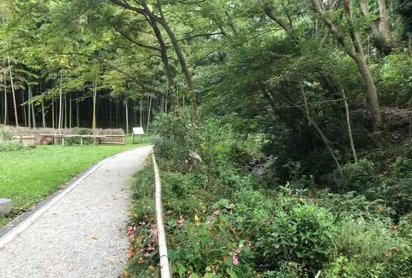 天王森泉公園の写真・動画_image_384803