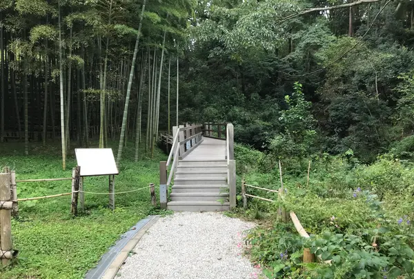 天王森泉公園の写真・動画_image_384806