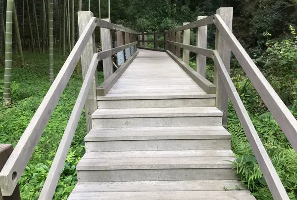 天王森泉公園の写真・動画_image_384812