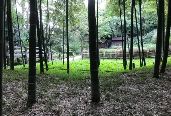 天王森泉公園の写真・動画_image_384827