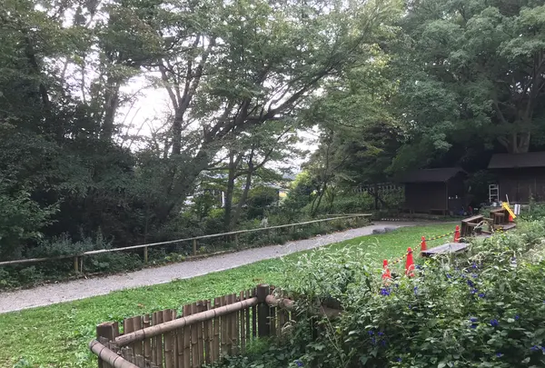 天王森泉公園の写真・動画_image_384831