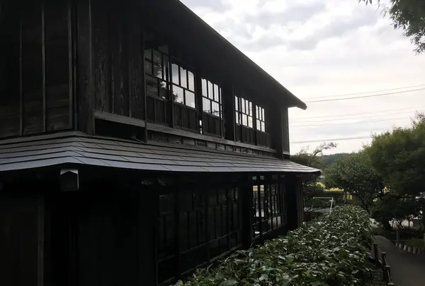 天王森泉公園の写真・動画_image_384832