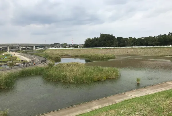 天王森泉公園の写真・動画_image_384834