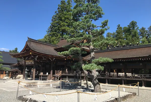 多賀大社の写真・動画_image_384851