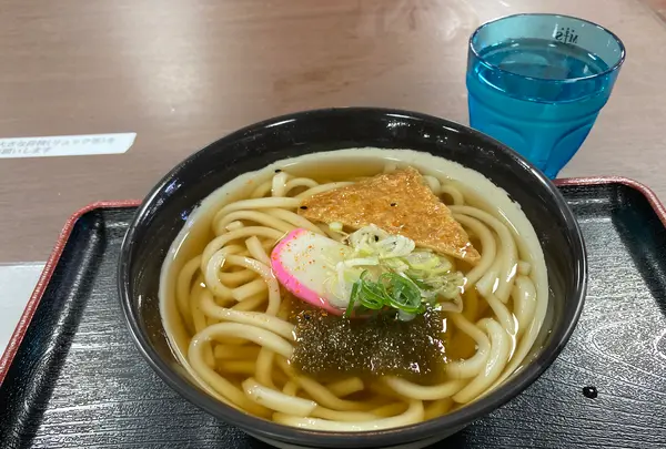 立山黒部アルペンルートの写真・動画_image_384865