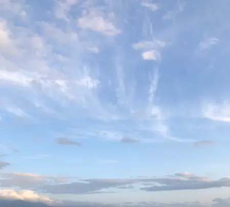 フラワーランドかみふらのの写真・動画_image_384939