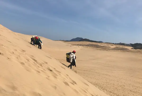 鳥取砂丘パラグライダー体験スクール(砂丘本舗)の写真・動画_image_385065