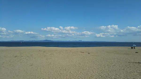 三浦海岸海水浴場の写真・動画_image_385646