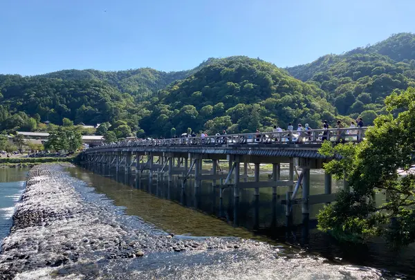 渡月橋の写真・動画_image_385711