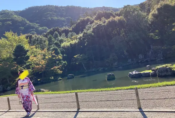 天龍寺の写真・動画_image_385712