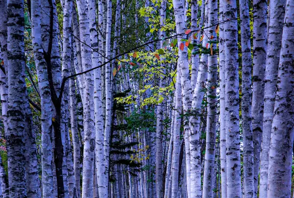 拓真館の写真・動画_image_385851