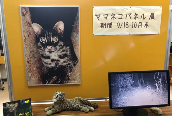 西表野生生物保護センターの写真・動画_image_385987