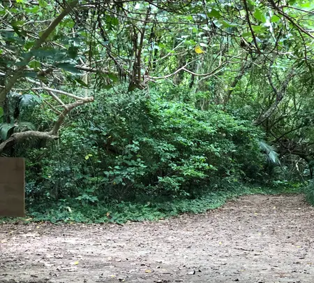 南風見田の浜の写真・動画_image_385992