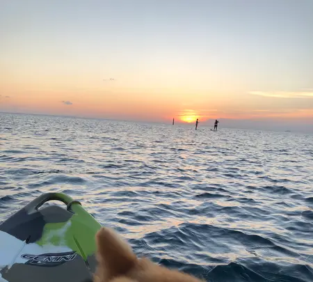 ブルーフィールドの写真・動画_image_386016