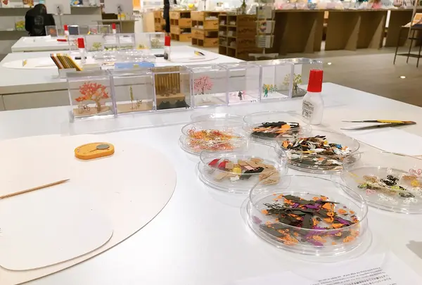 TAKEOFF-SITEの写真・動画_image_386082