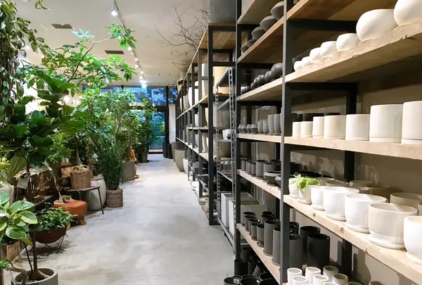 Rust（ラスト）の写真・動画_image_386092