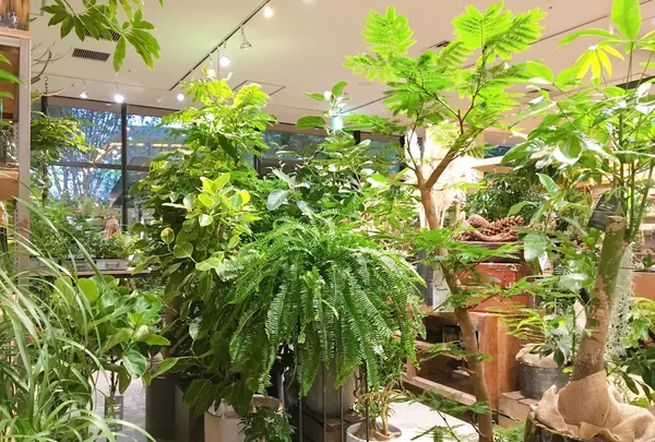 Rust（ラスト）の写真・動画_image_386094