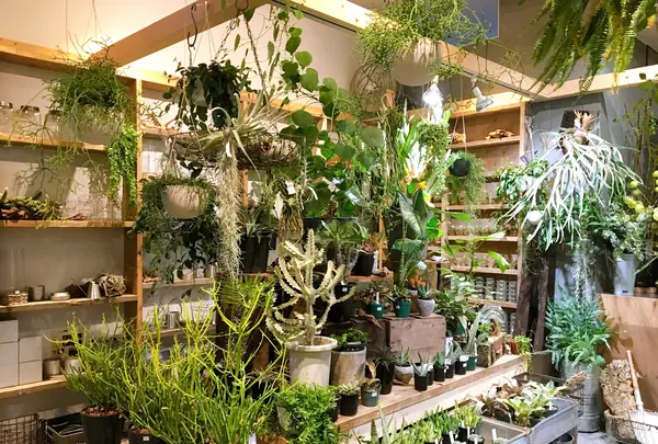 Rust（ラスト）の写真・動画_image_386095