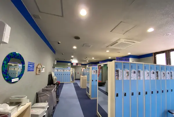 ニューウィングの写真・動画_image_386678