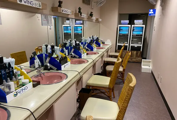 ニューウィングの写真・動画_image_386681