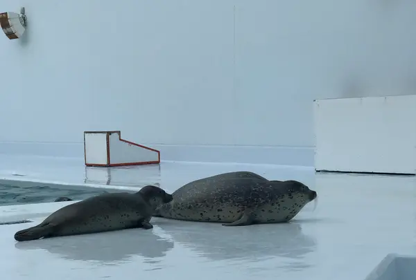 鶴岡市立加茂水族館（クラゲドリーム館）の写真・動画_image_386775