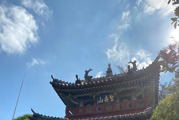 崇福寺の写真・動画_image_386947