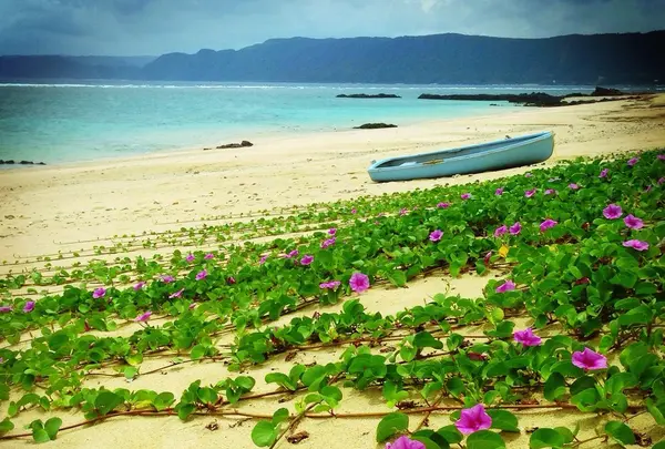 ばしゃ山海水浴場の写真・動画_image_38698