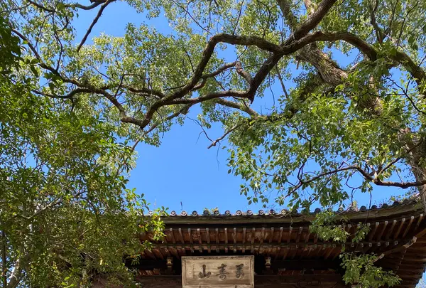 聖福寺の写真・動画_image_387003