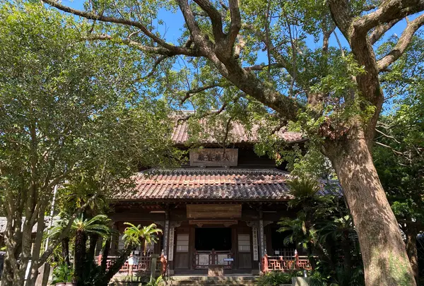 聖福寺の写真・動画_image_387004