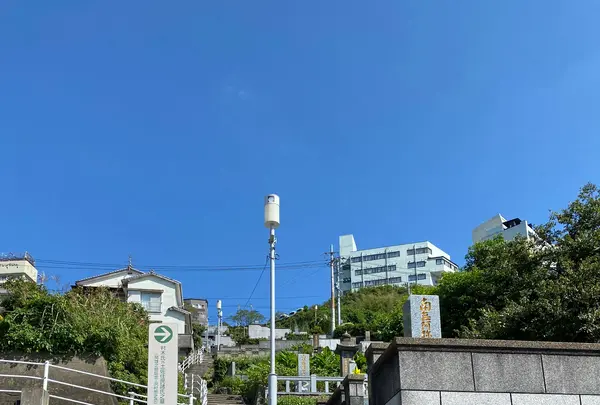 沢村惣之丞の墓（本蓮寺）の写真・動画_image_387009