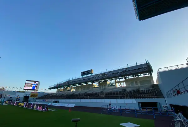 駅前不動産スタジアムの写真・動画_image_387061