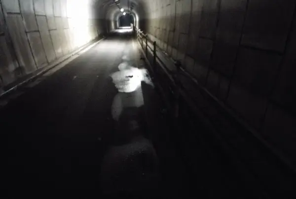 滴る