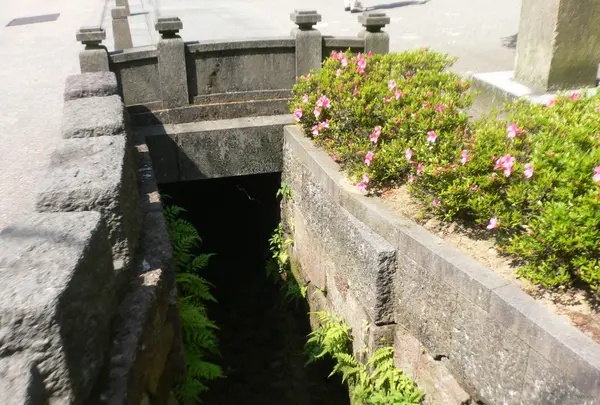 尾山神社の写真・動画_image_38782