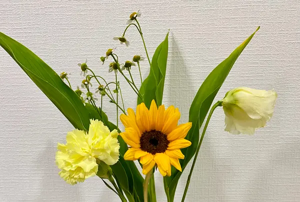 うつわと喫茶 nagameの写真・動画_image_387871