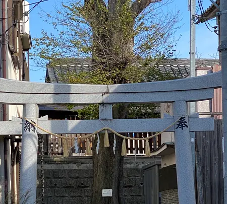 櫟谷七野神社の写真・動画_image_388107
