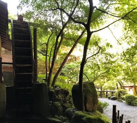 月待の滝の写真・動画_image_388173