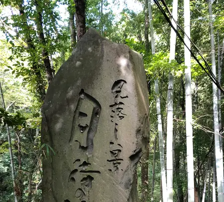 月待の滝の写真・動画_image_388174