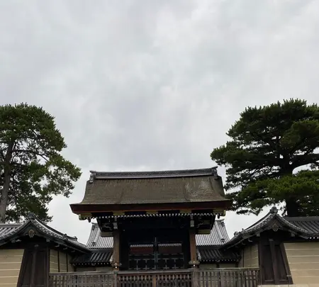 京都御苑の写真・動画_image_388377