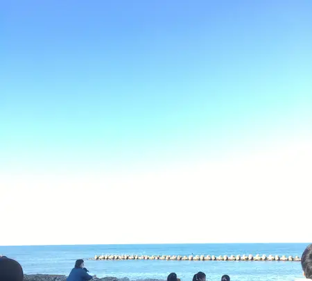 しろくまコーヒーの写真・動画_image_388385