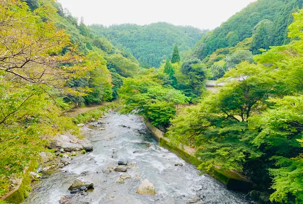 愛宕神社（旧白雲寺）の写真・動画_image_388792