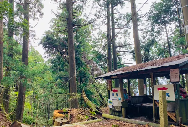 愛宕神社（旧白雲寺）の写真・動画_image_388794