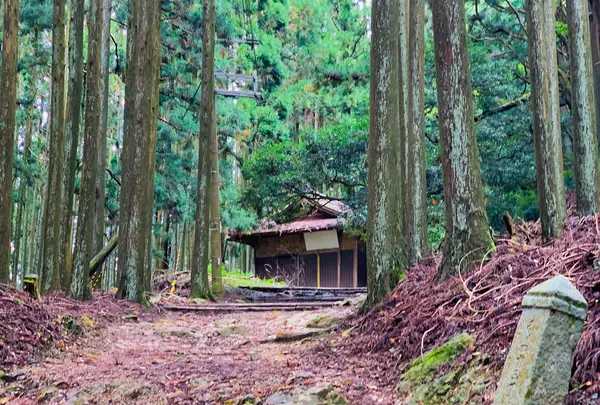 愛宕神社（旧白雲寺）の写真・動画_image_388795