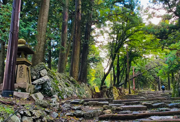 愛宕神社（旧白雲寺）の写真・動画_image_388797
