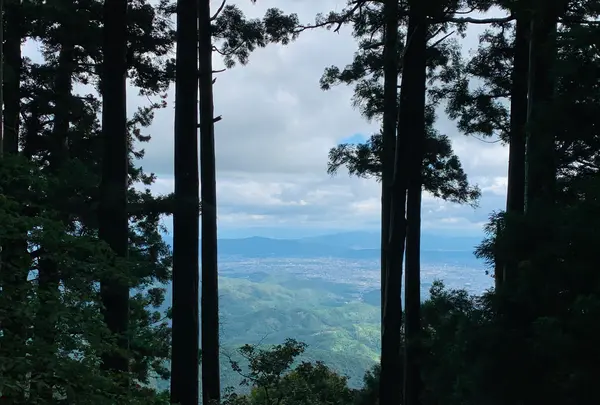 愛宕神社（旧白雲寺）の写真・動画_image_388798
