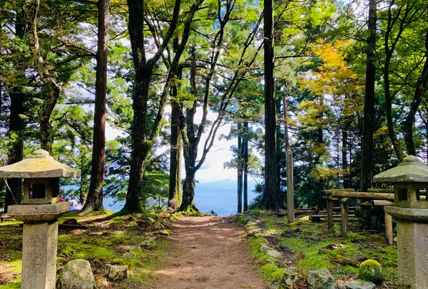 愛宕神社（旧白雲寺）の写真・動画_image_388799