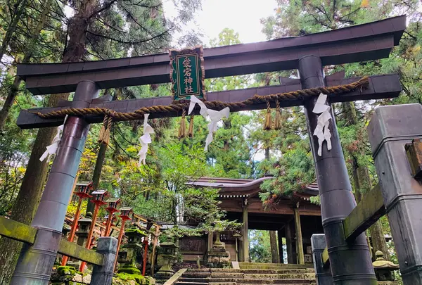 愛宕神社（旧白雲寺）の写真・動画_image_388803